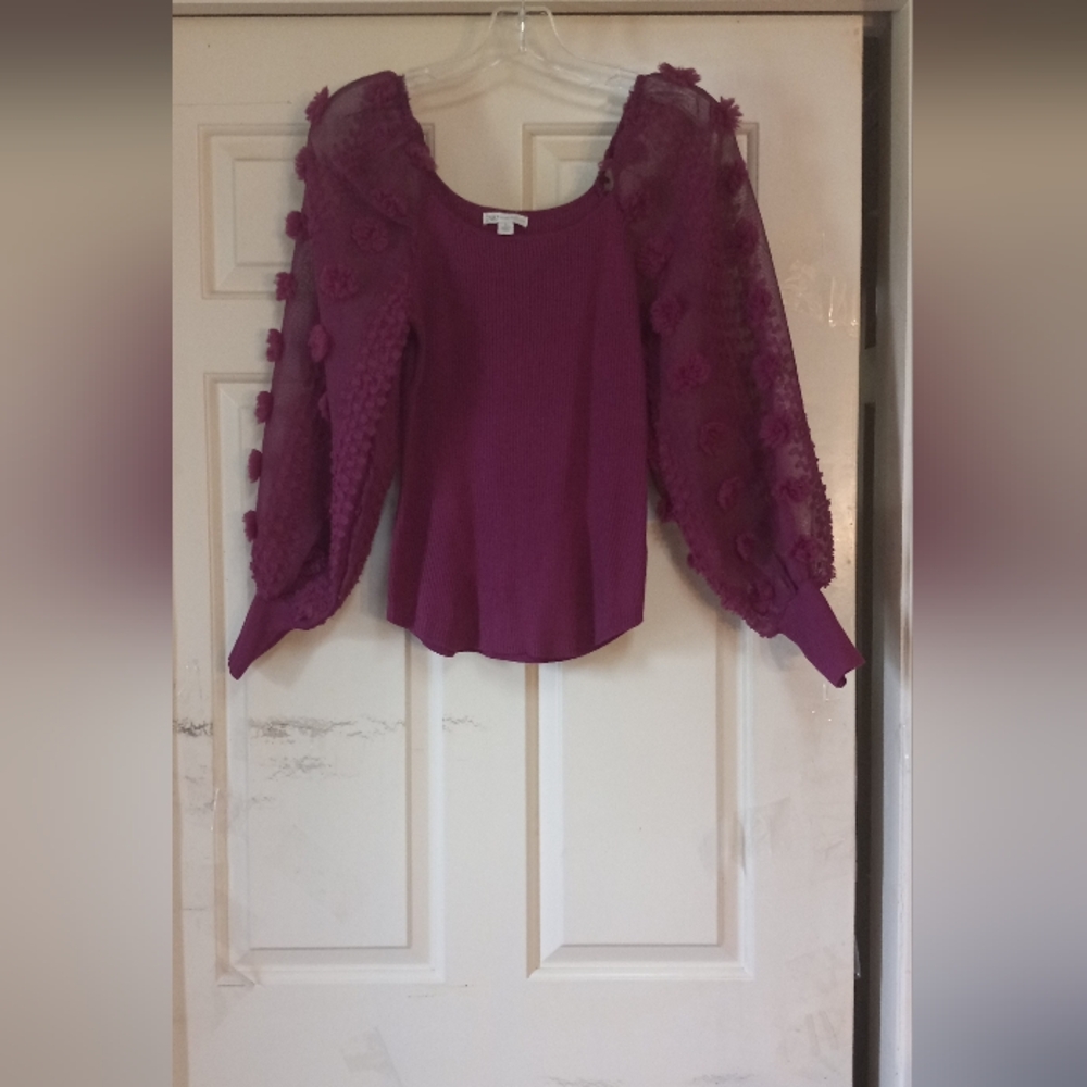 Beautiful Plumish Fitted Top